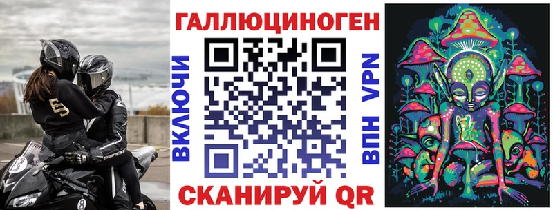 Купить  Ессентуки  Галлюциногенные грибы Psilocybe 